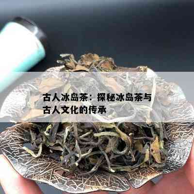 古人冰岛茶：探秘冰岛茶与古人文化的传承