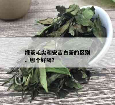 绿茶毛尖和安吉白茶的区别、哪个好喝？