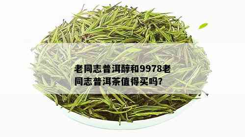 老同志普洱醇和9978老同志普洱茶值得买吗？