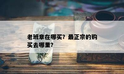 老班章在哪买？最正宗的购买去哪里？