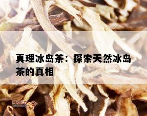 真理冰岛茶：探索天然冰岛茶的真相