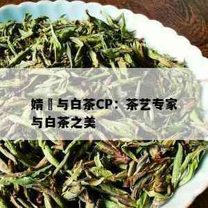 婧祎与白茶CP：茶艺专家与白茶之美