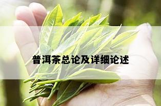 普洱茶总论及详细论述