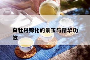 白牡丹锦化的景玉与精华功效