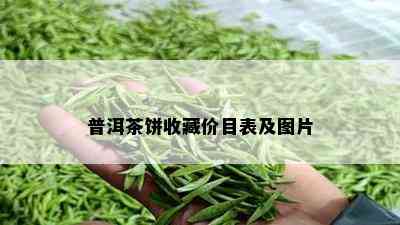 普洱茶饼收藏价目表及图片