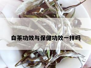 白茶功效与保健功效一样吗