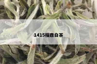 1415福鼎白茶