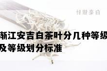 渐江安吉白茶叶分几种等级及等级划分标准