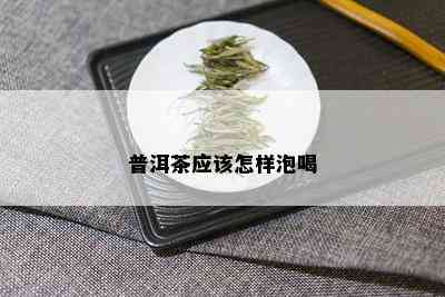 普洱茶应该怎样泡喝