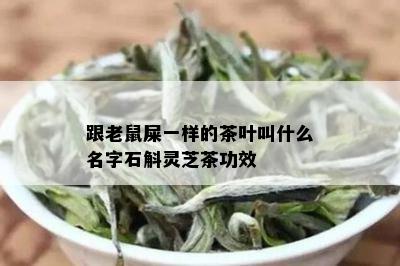 跟老鼠屎一样的茶叶叫什么名字石斛灵芝茶功效