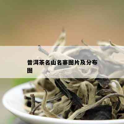 普洱茶名山名寨图片及分布图