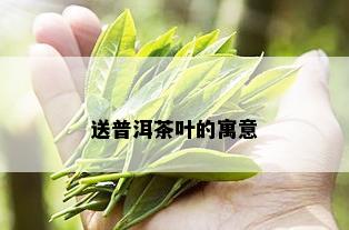 送普洱茶叶的寓意