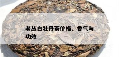 老丛白牡丹茶价格、香气与功效