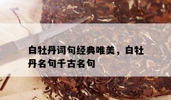 白牡丹词句经典唯美，白牡丹名句千古名句