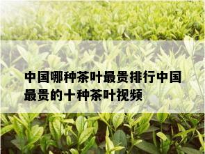 中国哪种茶叶最贵排行中国最贵的十种茶叶视频