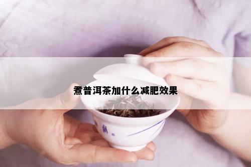 煮普洱茶加什么减肥效果