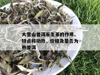 大雪山普洱茶生茶的作用、特点和功效，价格及是否为熟普洱