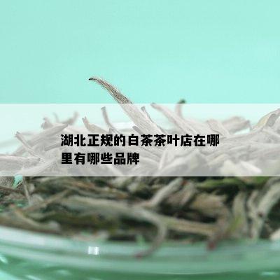 湖北正规的白茶茶叶店在哪里有哪些品牌