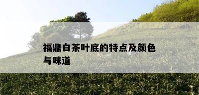 福鼎白茶叶底的特点及颜色与味道