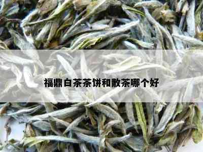 福鼎白茶茶饼和散茶哪个好