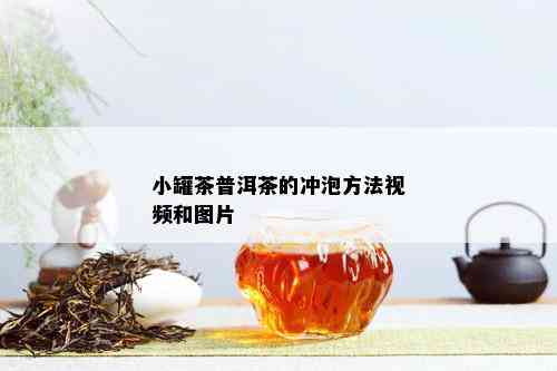 小罐茶普洱茶的冲泡方法视频和图片