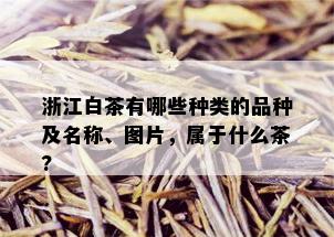 浙江白茶有哪些种类的品种及名称、图片，属于什么茶?