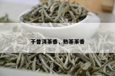 干普洱茶香，熟茶茶香