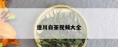 遂川白茶视频大全