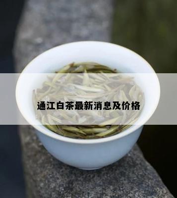 通江白茶最新消息及价格