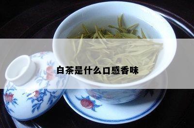 白茶是什么口感香味