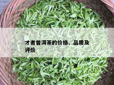 才者普洱茶的价格、品质及评价