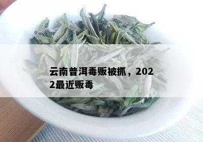 云南普洱贩被抓，2022最近贩