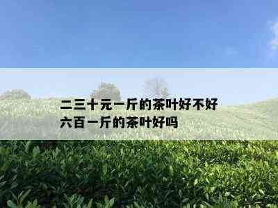 二三十元一斤的茶叶好不好六百一斤的茶叶好吗