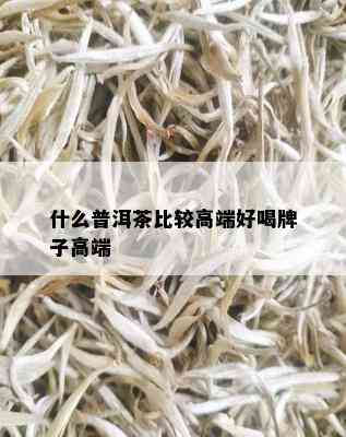 什么普洱茶比较高端好喝牌子高端