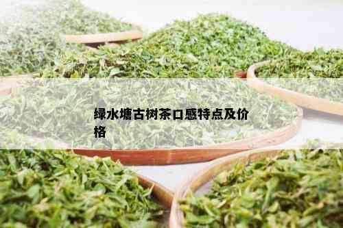 绿水塘古树茶口感特点及价格