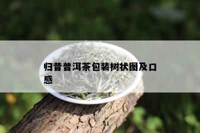 归昔普洱茶包装树状图及口感