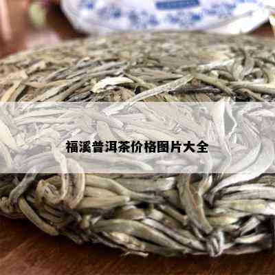 福溪普洱茶价格图片大全