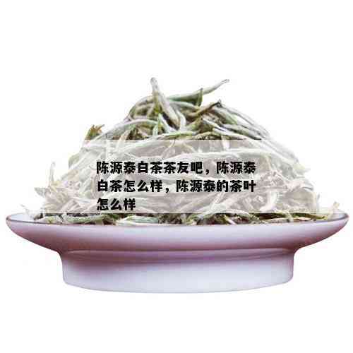 陈源泰白茶茶友吧，陈源泰白茶怎么样，陈源泰的茶叶怎么样