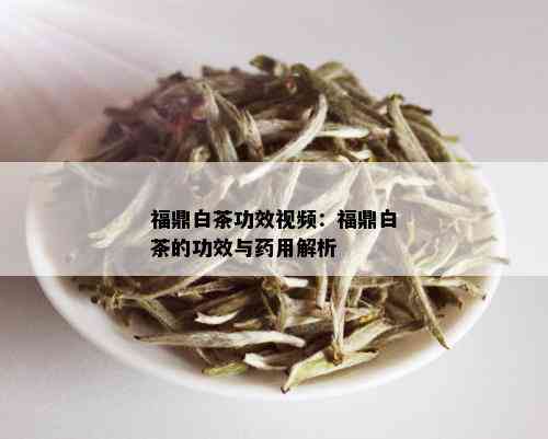 福鼎白茶功效视频：福鼎白茶的功效与用解析