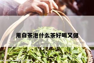 用白茶泡什么茶好喝又健