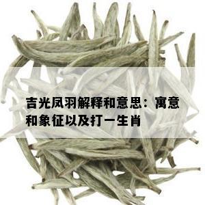 吉光凤羽解释和意思：寓意和象征以及打一生肖