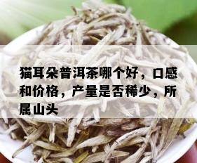 猫耳朵普洱茶哪个好，口感和价格，产量是否稀少，所属山头