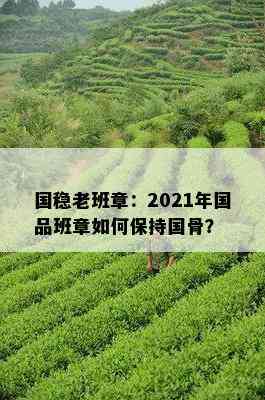 国稳老班章：2021年国品班章如何保持国骨？