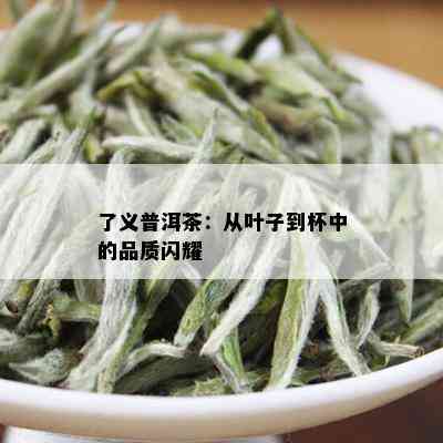 了义普洱茶：从叶子到杯中的品质闪耀