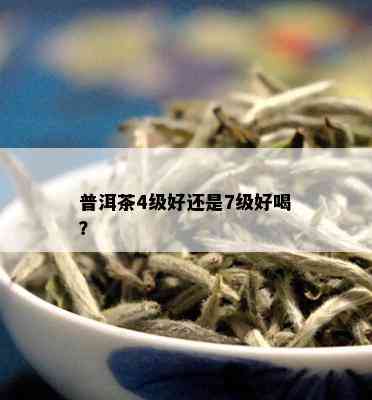 普洱茶4级好还是7级好喝？