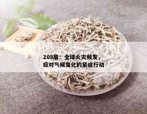 208眉：全球火灾频发，应对气候变化的紧迫行动