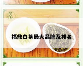 福鼎白茶更大品牌及排名