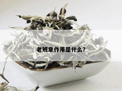 老班章作用是什么？