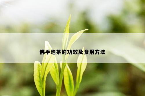 佛手泡茶的功效及食用方法