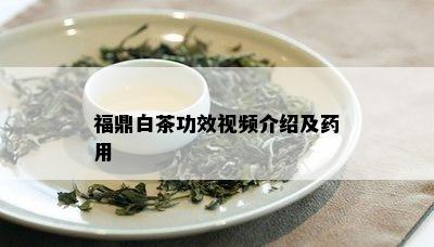 福鼎白茶功效视频介绍及用